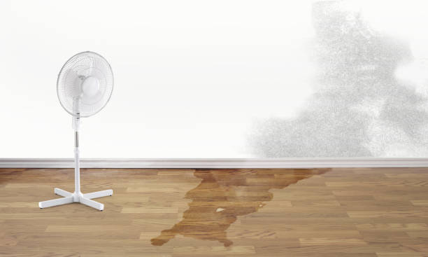 Water damage restoration experts in Fellsburg, PA