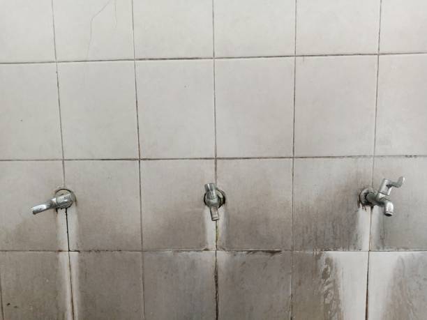 Best 24/7 water damage repair  in Fellsburg, PA